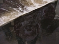 RIMG0211