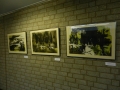 Michaela Berning-Tournier – Tuschebilder Landschaften “11. März 2011″