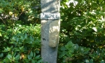 P1000746