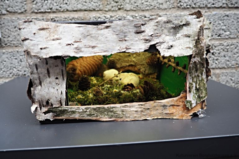 "Mit Händen und Füßen durch die Natur"