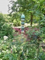 Hingucker im Garten