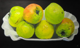 "Pomme"s - © Acryl auf Leinwand - 60 x 100 cm - 2013