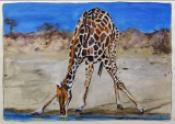 "Immer Gymnastik" - © Mischtechnik auf Papier - 21 x 33 cm - 2018