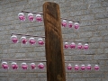 Elfriede Schildmann - Mastschweine - Ausschnitt 1