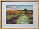 "England, Derbyshire Moors"