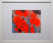 "Mohn-Tag"