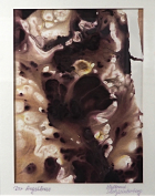 Waltraud Scholz-Winterberg: Evolution