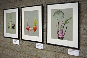 "Zuccini, Rettich, Aubergine", "Italienische Rübern", "Kohlrabi"