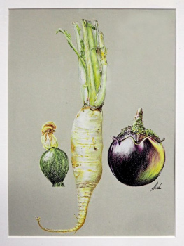 "Zuccini, Rettich, Aubergine"