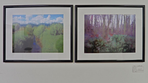 Verfremdete Landschaftsfotos von Job Schräder
