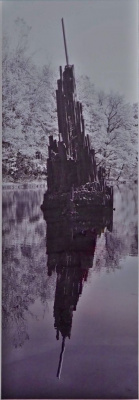 Karin Warias: Basalt Orgel, Görlitz Sachsen