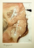 Waltraud Scholz-Winterberg - Hirngespinste