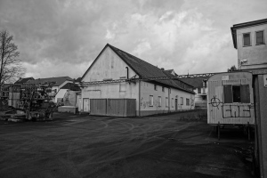DSC08981