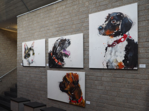 Hunde und Katzen