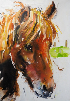 "Shetland-Pony"