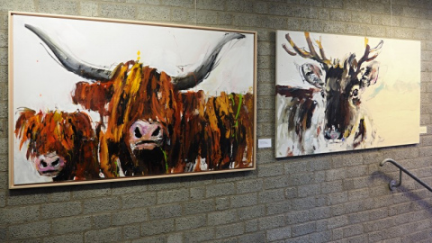 Hochlandrinder und Ren