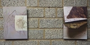 P1190138